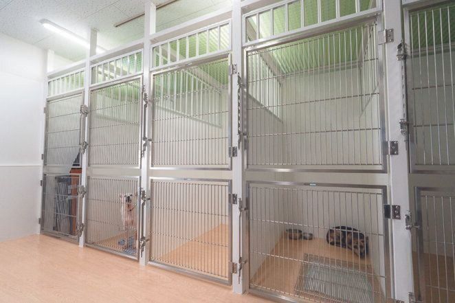 小野さんが協力しているJAMCのシェルタークリニックの保護犬専用の部屋