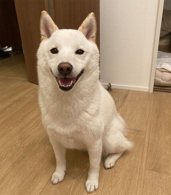 笑顔のゆきみちゃん