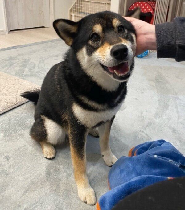 かわいさ満点のもち吉くん