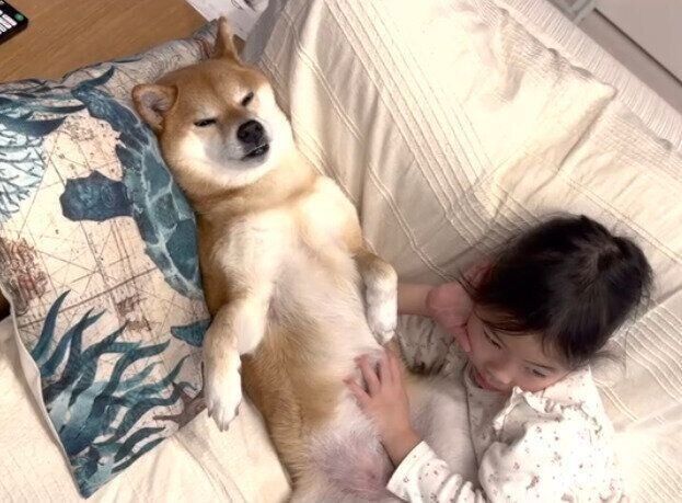 モモ子ちゃんにおなかをなでてもらう花子ちゃん