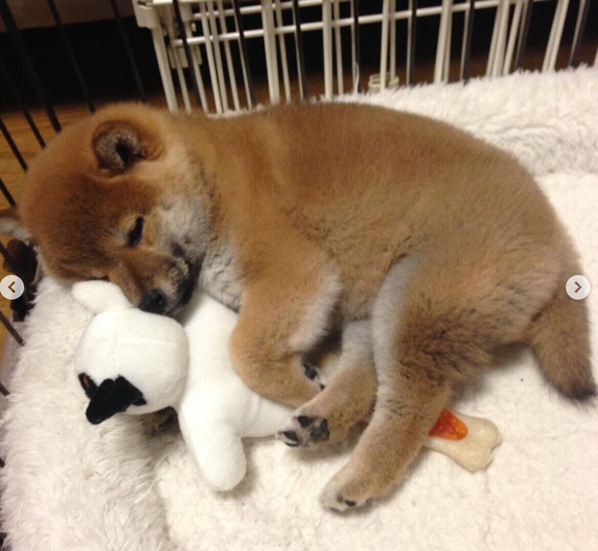 遊び疲れて寝てしまったはるくん