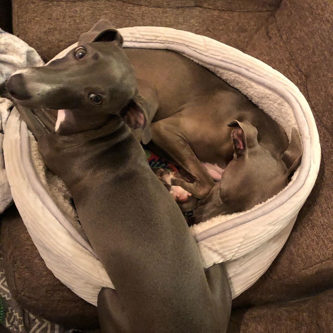 一緒に入りたいクーリオちゃん