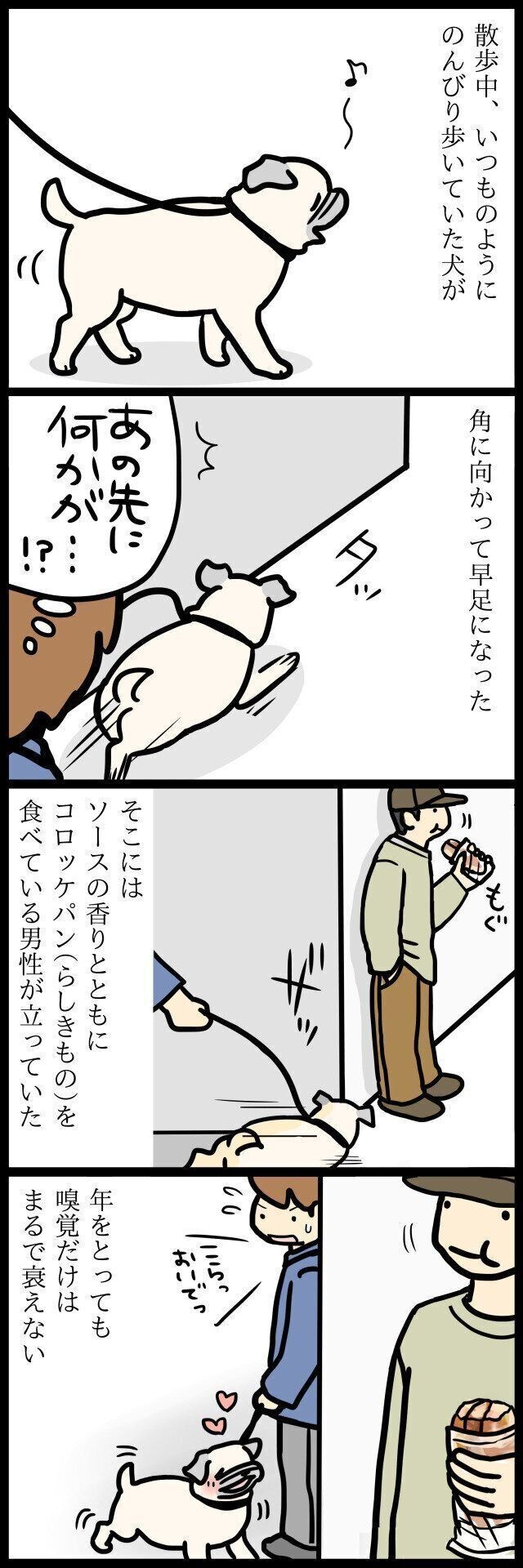【連載】パグ犬・めー