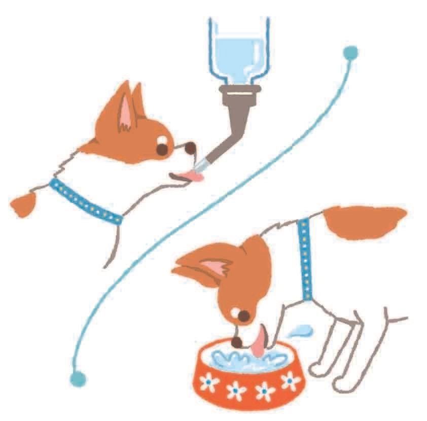 イラスト／フジサワミカ