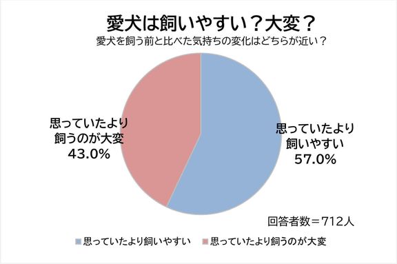 Q. トイ・プードルは飼いやすい?思っていたより飼うのが大変?