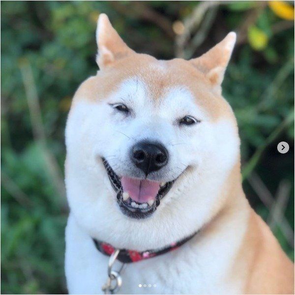 笑顔のこなつちゃん