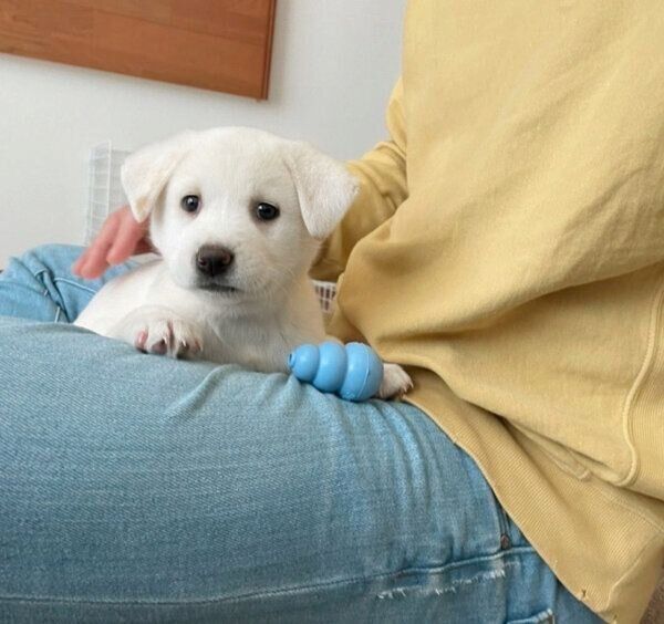 あどけない表情をするこうめちゃん