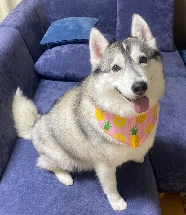 笑顔が可愛いノンノちゃん