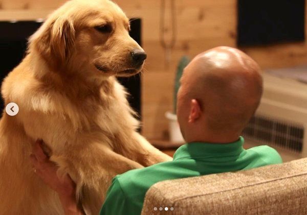 パパの頭を舐めるゴールデン・レトリーバー