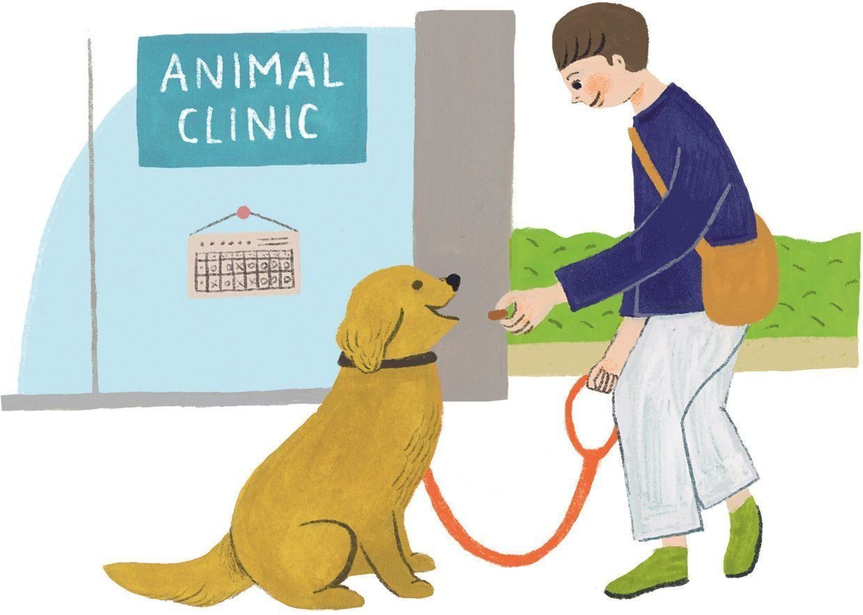 イラスト／macco