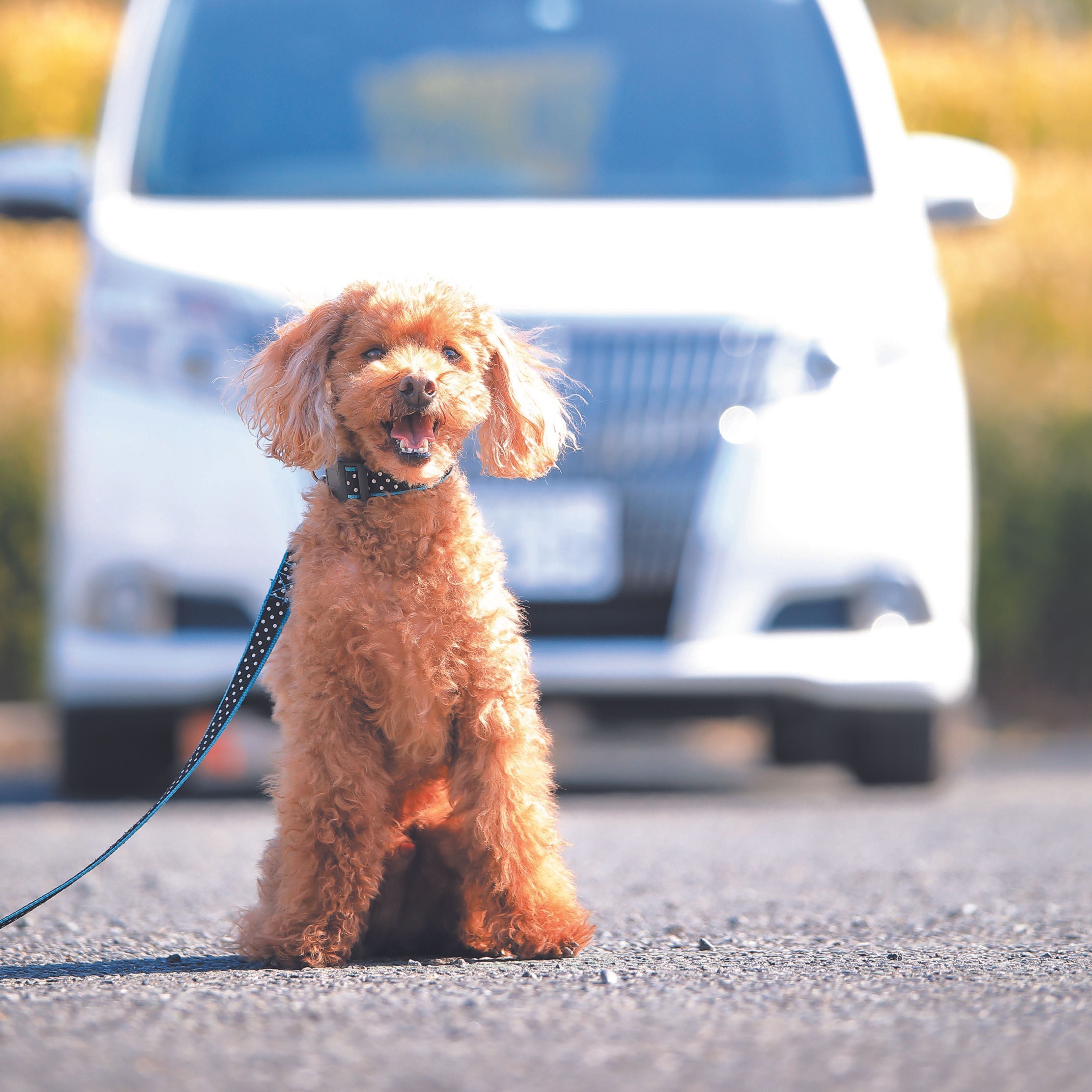 撮影／尾﨑たまき