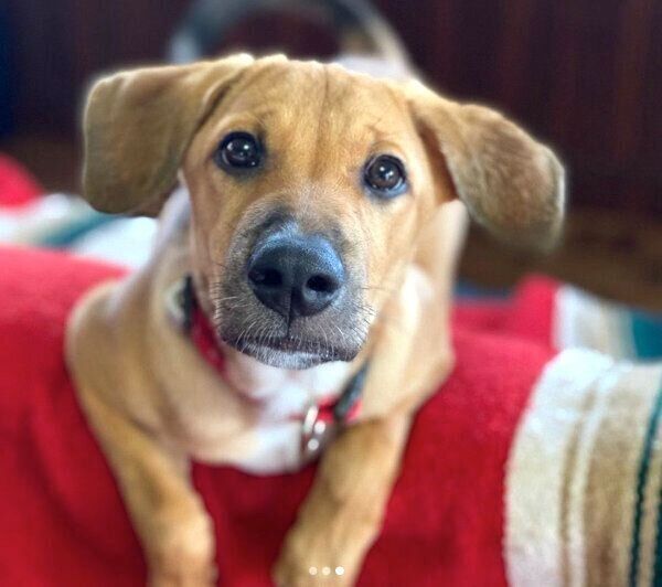 見つめる海くん