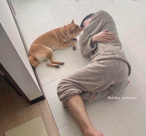 パパさんの顔をなめるなつめちゃん