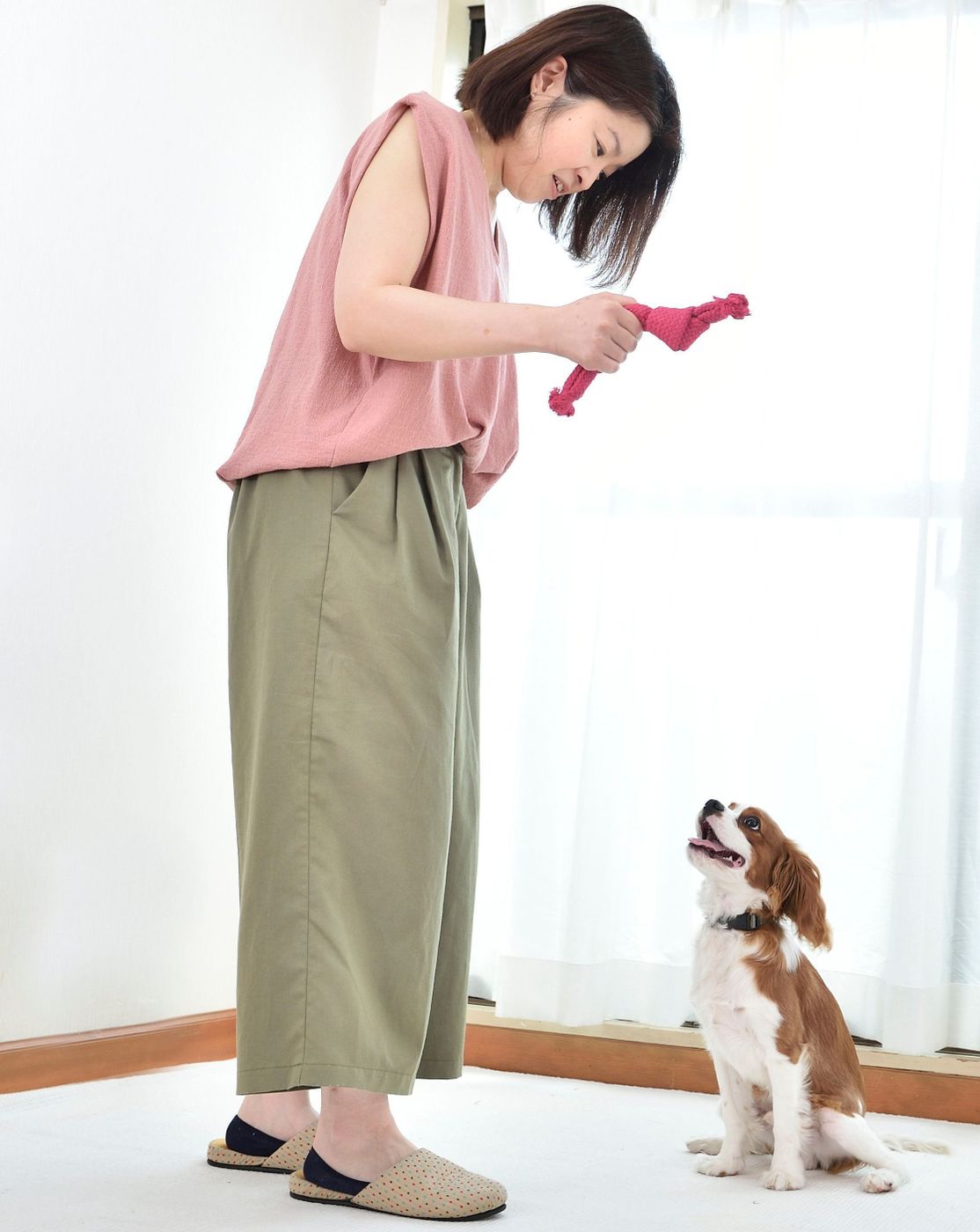 吠えにくい犬 に育てるために 今日からできることって いぬのきもちweb Magazine