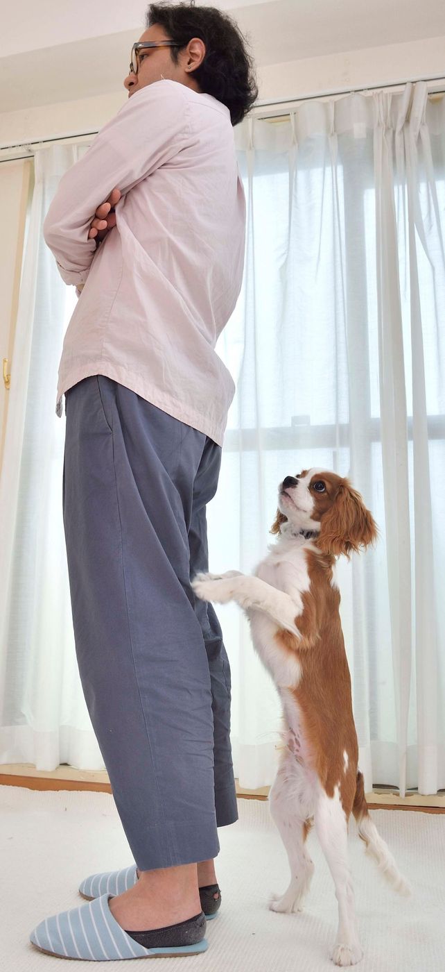 吠えにくい犬 に育てるために 今日からできることって いぬのきもちweb Magazine 吠えにくい犬 に育てるために 今日からできることって いぬのきもちweb Magazine