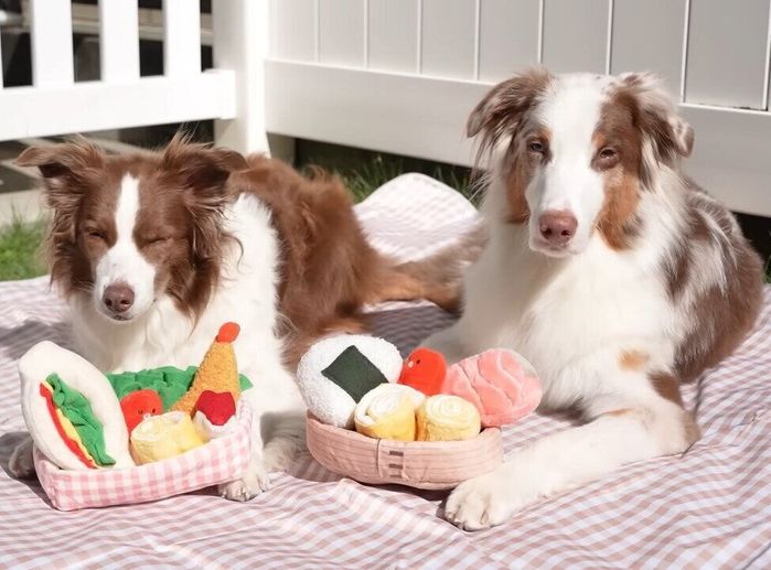 ピクニックを楽しむ2頭