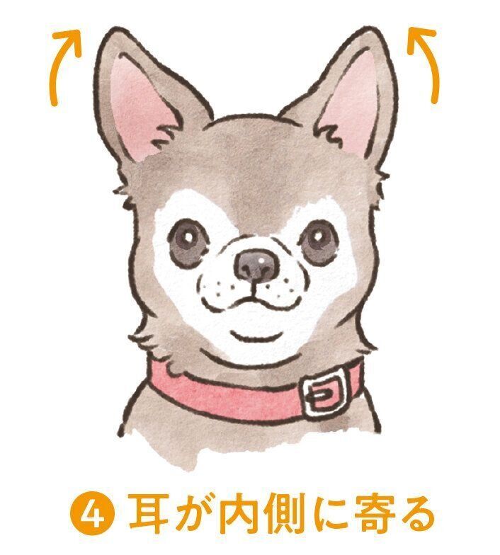 イラスト／フジマツミキ