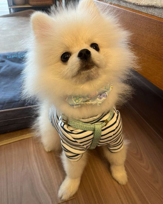 見つめる小太郎くん