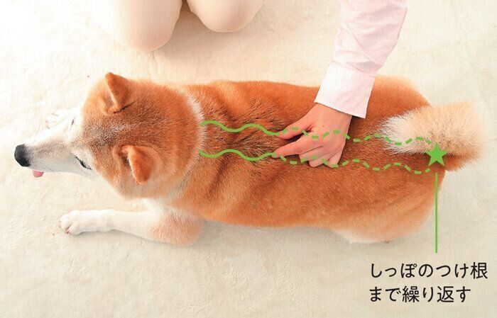 背骨に沿ってマッサージ