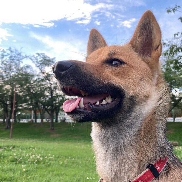 青空といのちゃん