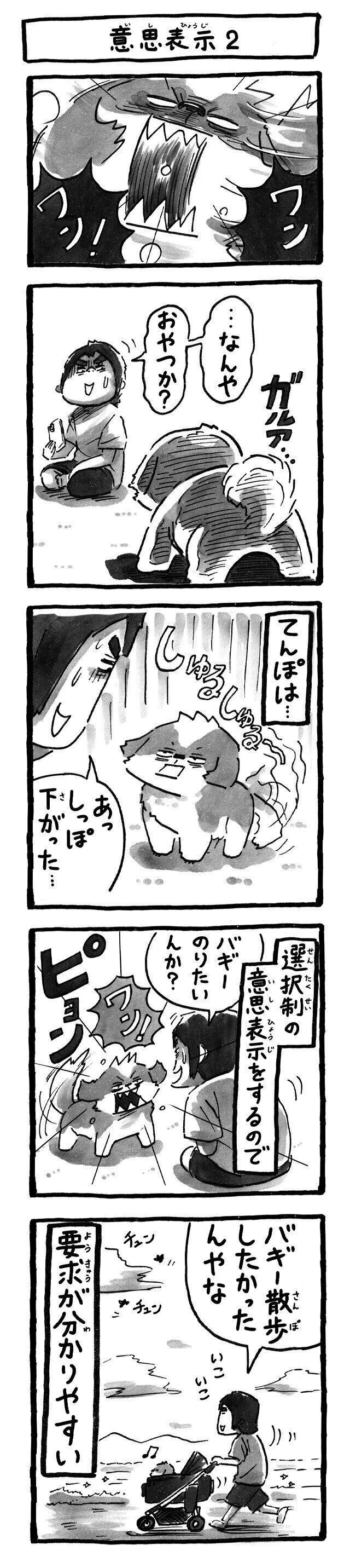 シーズー犬マンガてんぽshihtzu