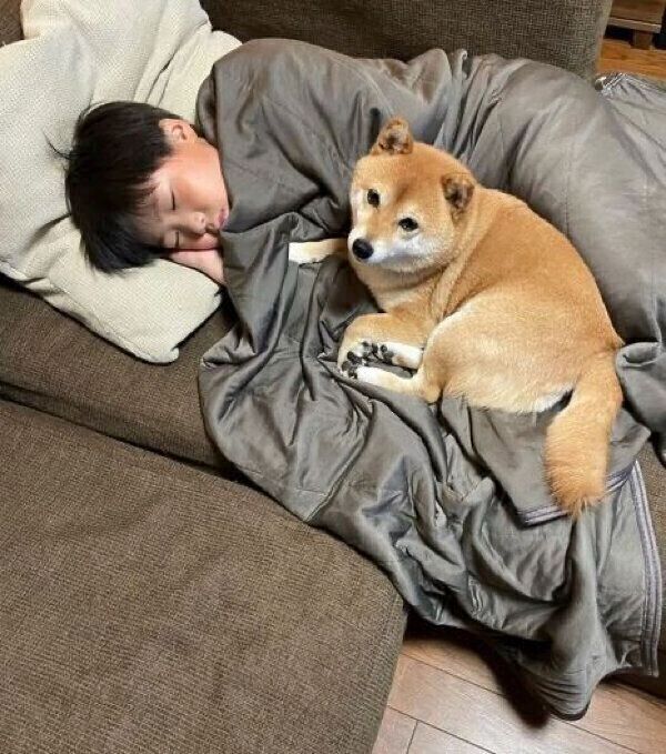 仲良しなマメちゃんと息子さん