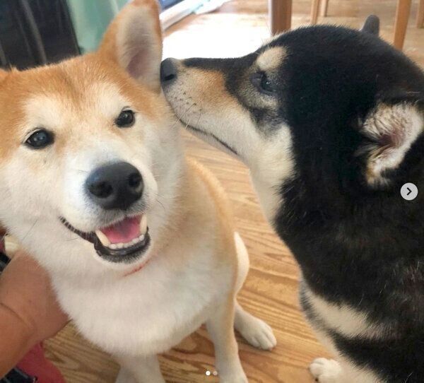 仲良しなはなちゃんとさくちゃん