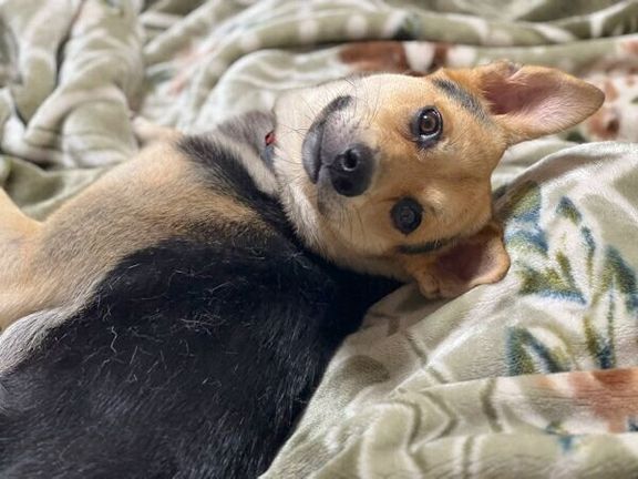 くつろぐこのちゃん