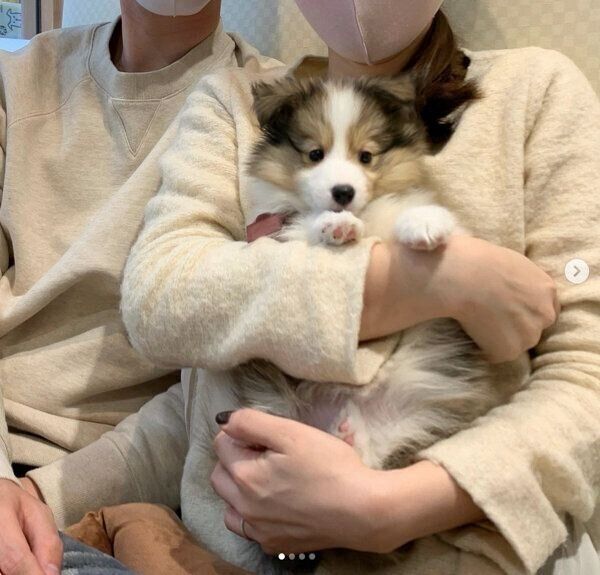 家族に迎えた日のルネちゃん