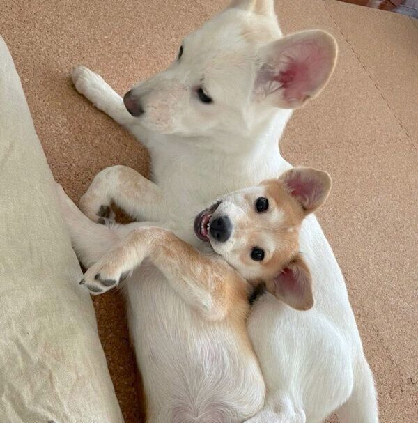 寄り添う梅ちゃん、稀ちゃん