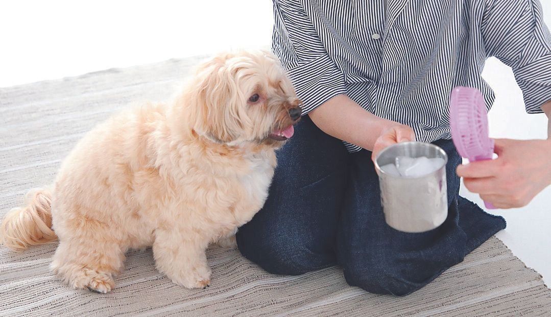 ハンディ扇風機の風を氷越しに当てると“即席エアコン”に