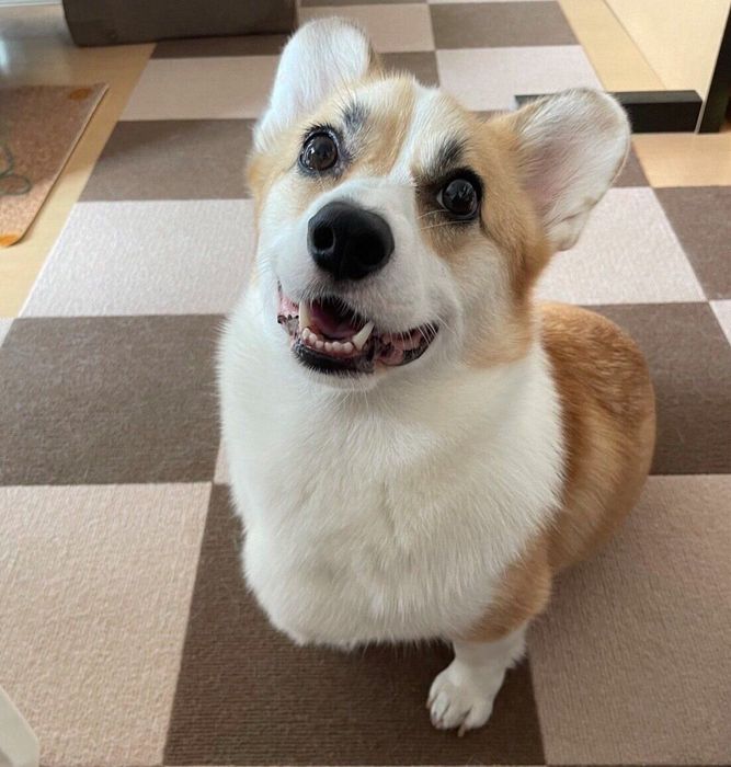 笑顔が可愛らしいRenくん