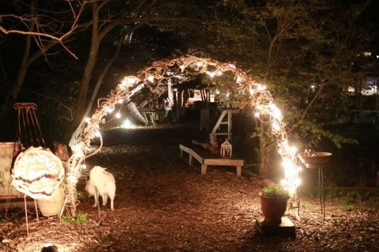 犬と行ける秘密の居酒屋 穴澤賢の犬のはなし いぬのきもちweb Magazine 犬と行ける秘密の居酒屋 穴澤賢の犬のはなし いぬのきもちweb Magazine