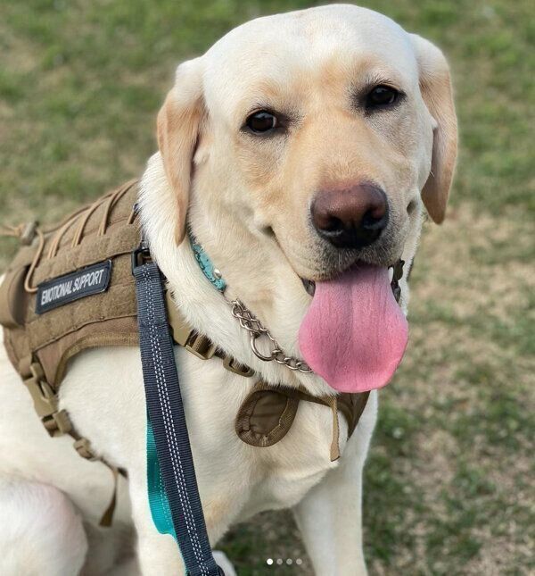 笑顔が可愛いイズちゃん