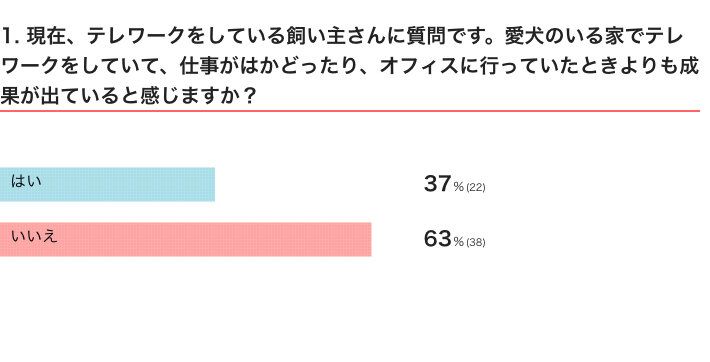 いぬのきもちWEB MAGAZINE『犬飼いさんのテレワークに関するアンケートvol.01』　61件の回答