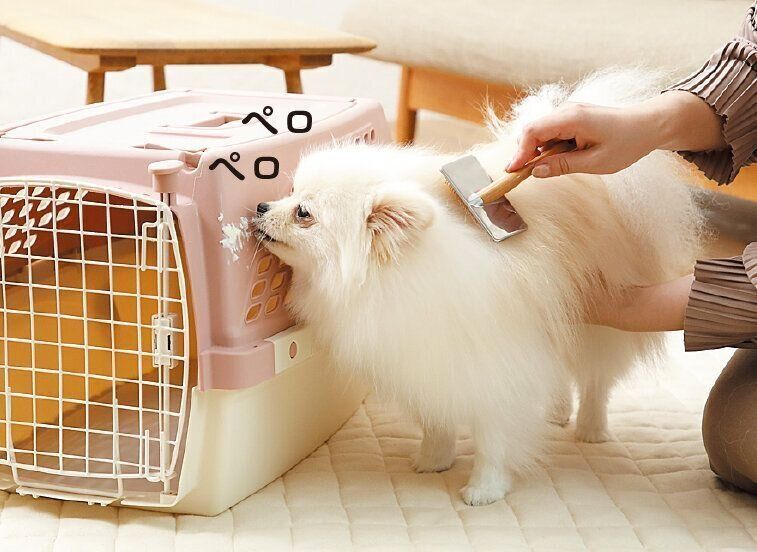 撮影／尾﨑たまき