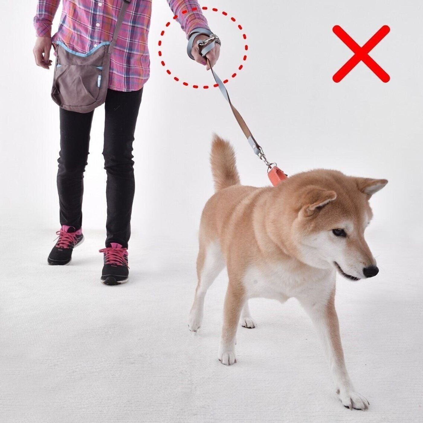 愛犬に引っ張られても大丈夫 ウンチ拾いもラクになる 正しいリードづかい いぬのきもちweb Magazine 愛犬に引っ張られても大丈夫 ウンチ拾いもラクになる 正しいリードづかい いぬのきもちweb Magazine
