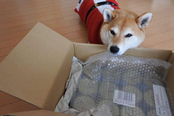 いつものごはん