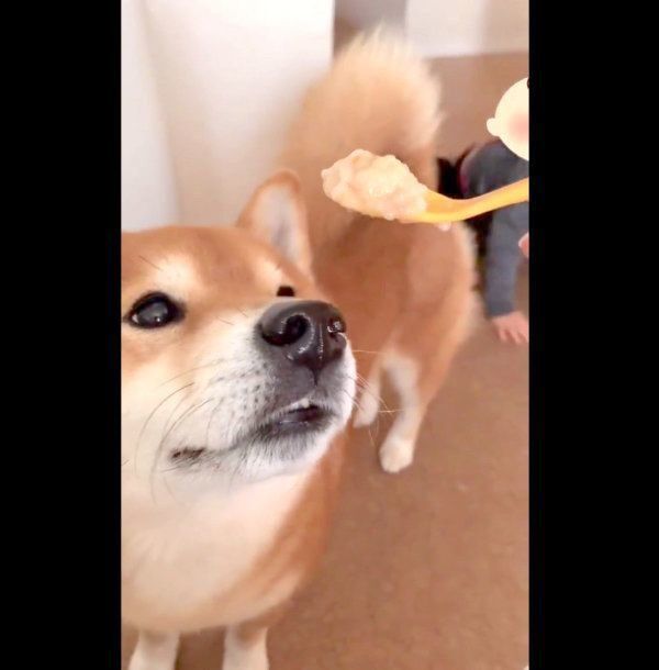 お目めをキラキラさせるこたろうくん