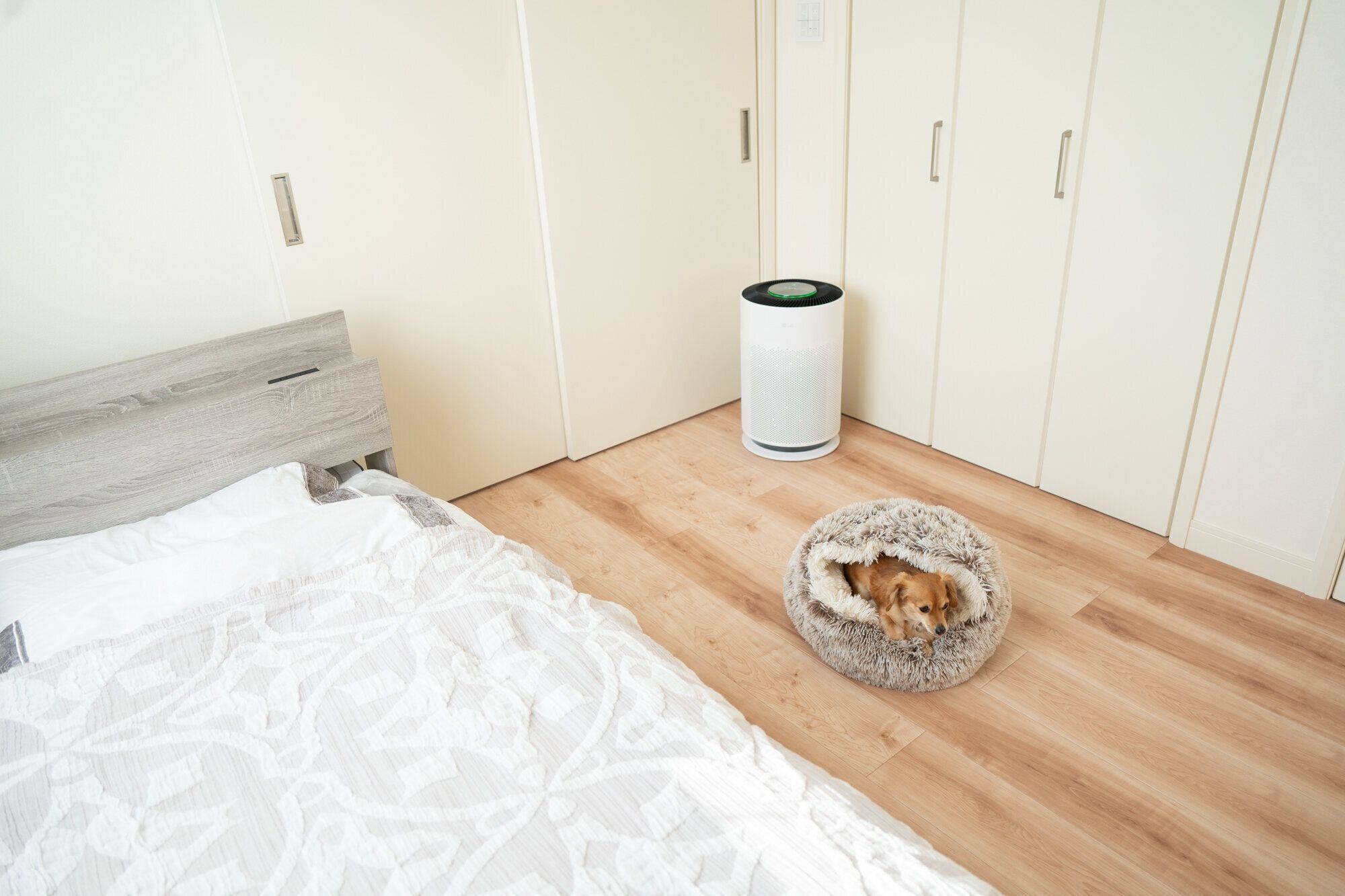犬 LG ペット用空気清浄機