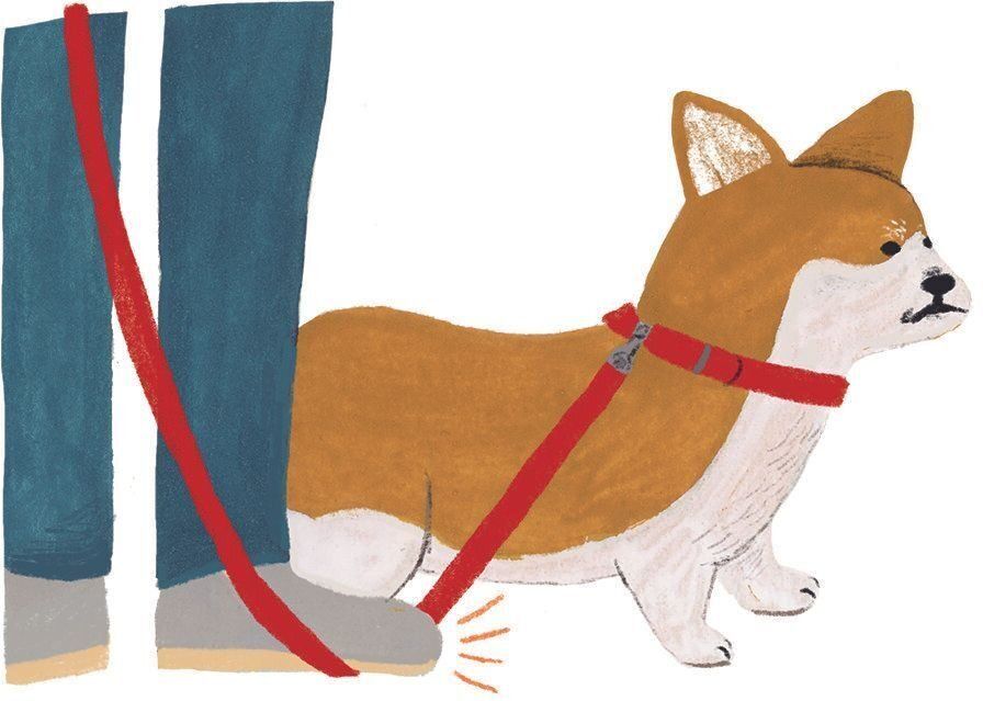 イラスト／macco