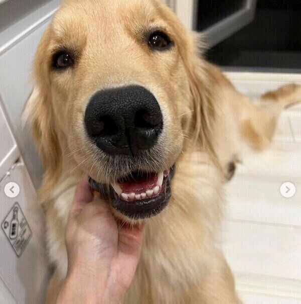 ナデナデが大好きなのあちゃん