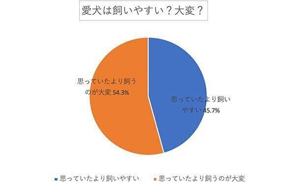 愛犬は飼いやすい? 大変?