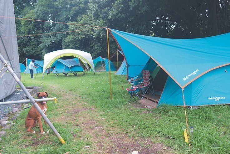 自治体が提供した仮設テントで犬とともに避難生活をする人も