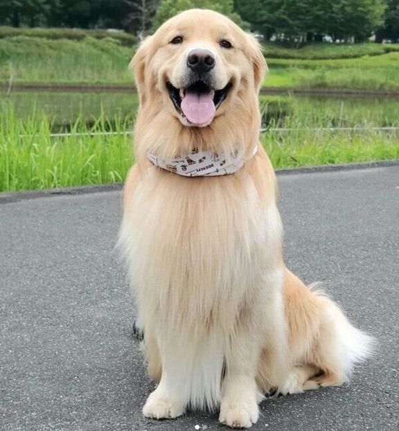 微笑むアランくん