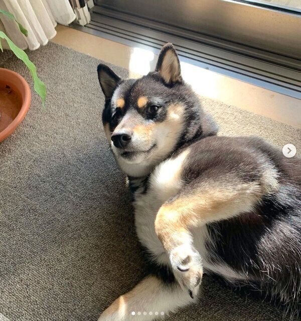 くつろぐクロくん