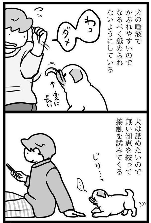 犬の口の「タフタフ」|連載「パグ犬・めー」vol.21より
