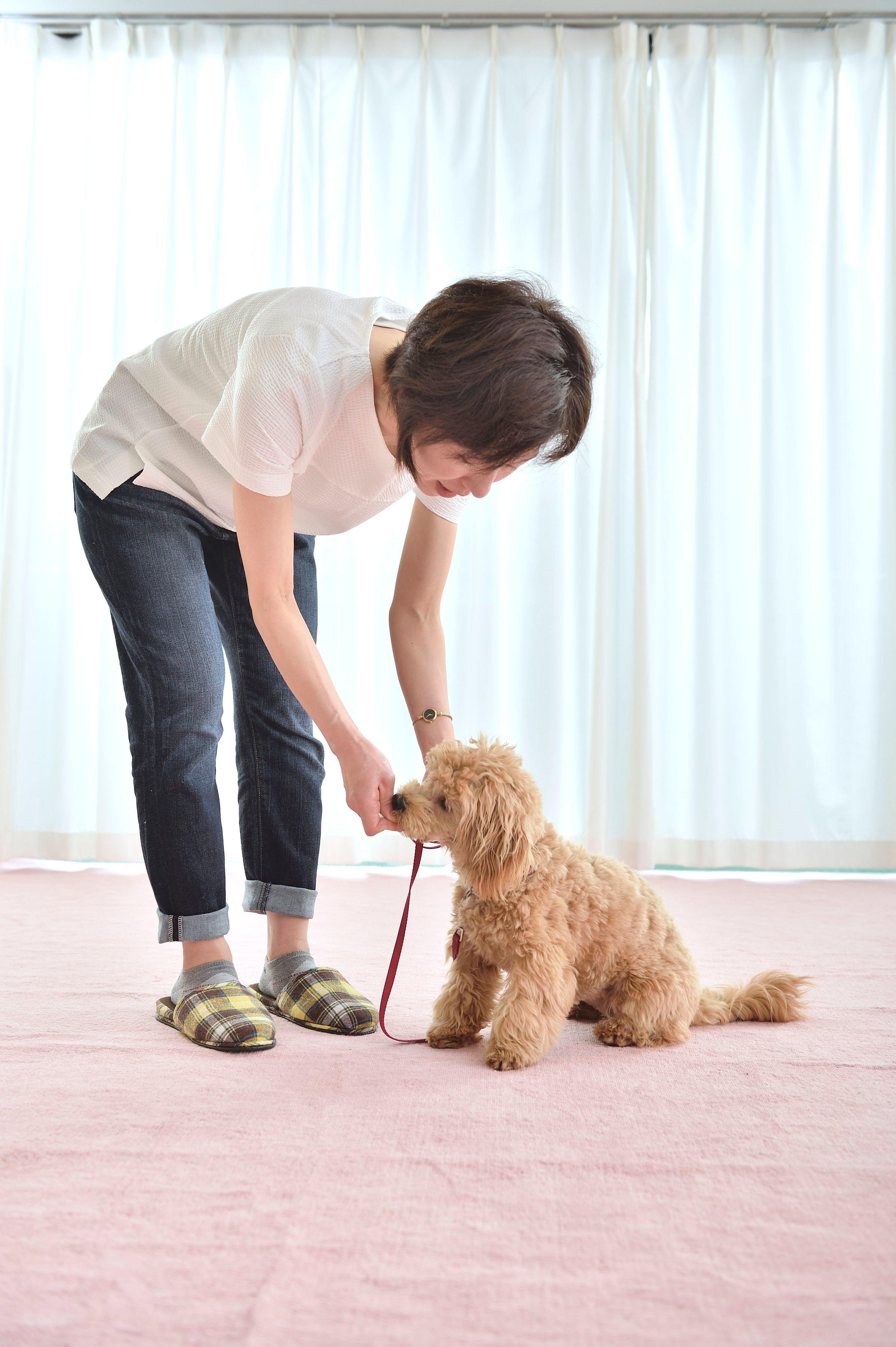 撮影／佐藤正之