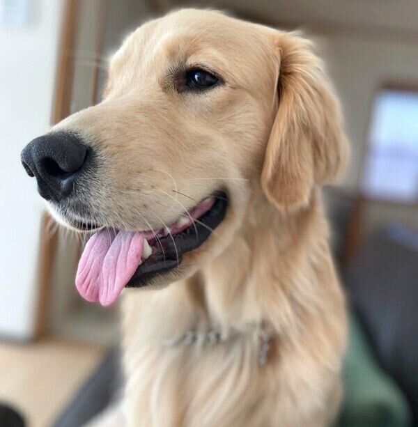 笑顔のまるくん