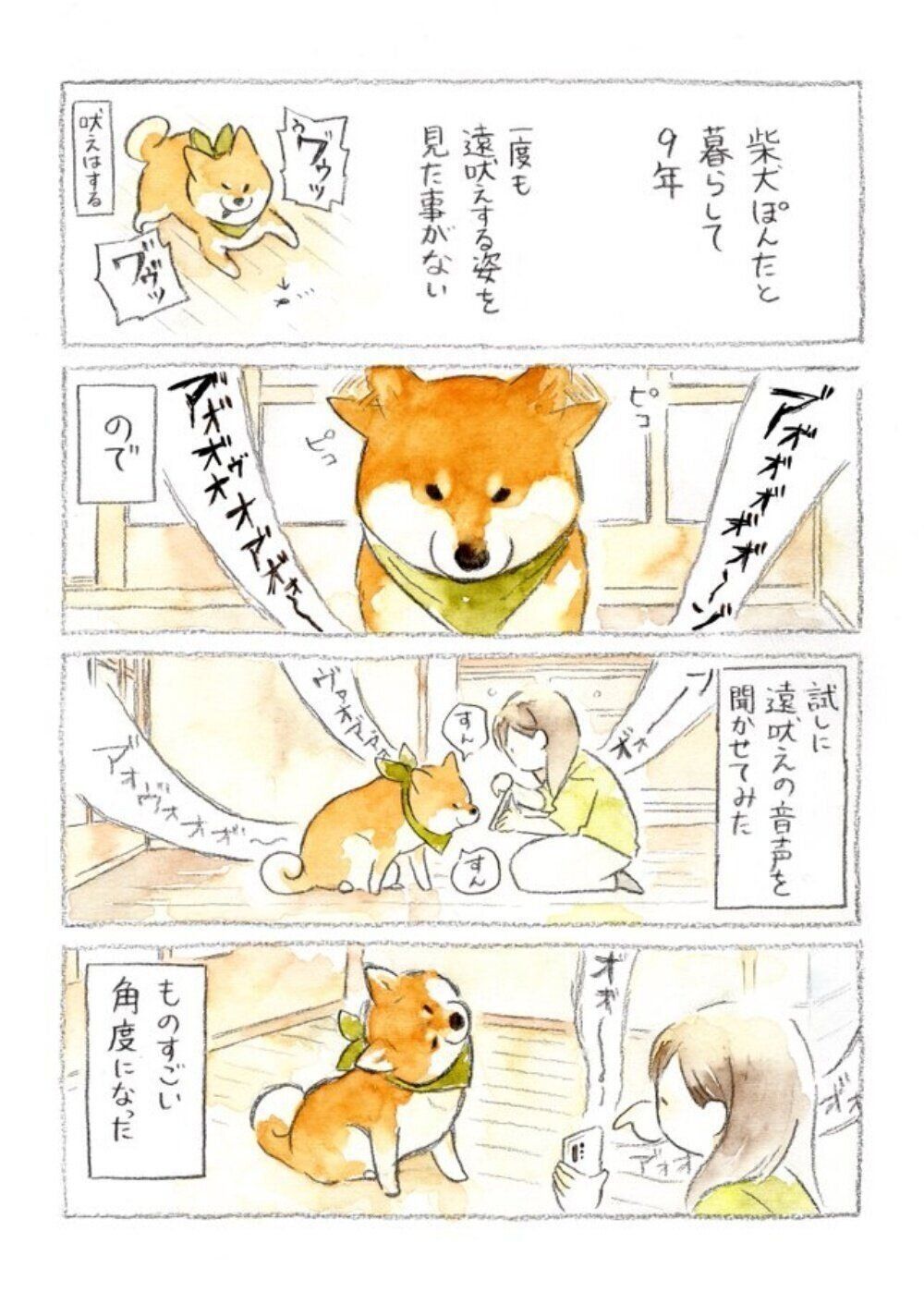 「遠吠え」の音声を聞いたぽんたくんの反応に爆笑…!(画像提供:@yako_sketchさん)